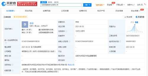 北京信息技術咨詢服務 驅動企業數字化轉型的核心引擎